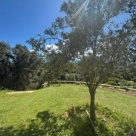 Bord De Lava Villa *