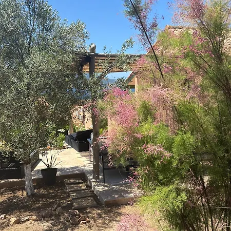Bord De Lava Villa Appietto